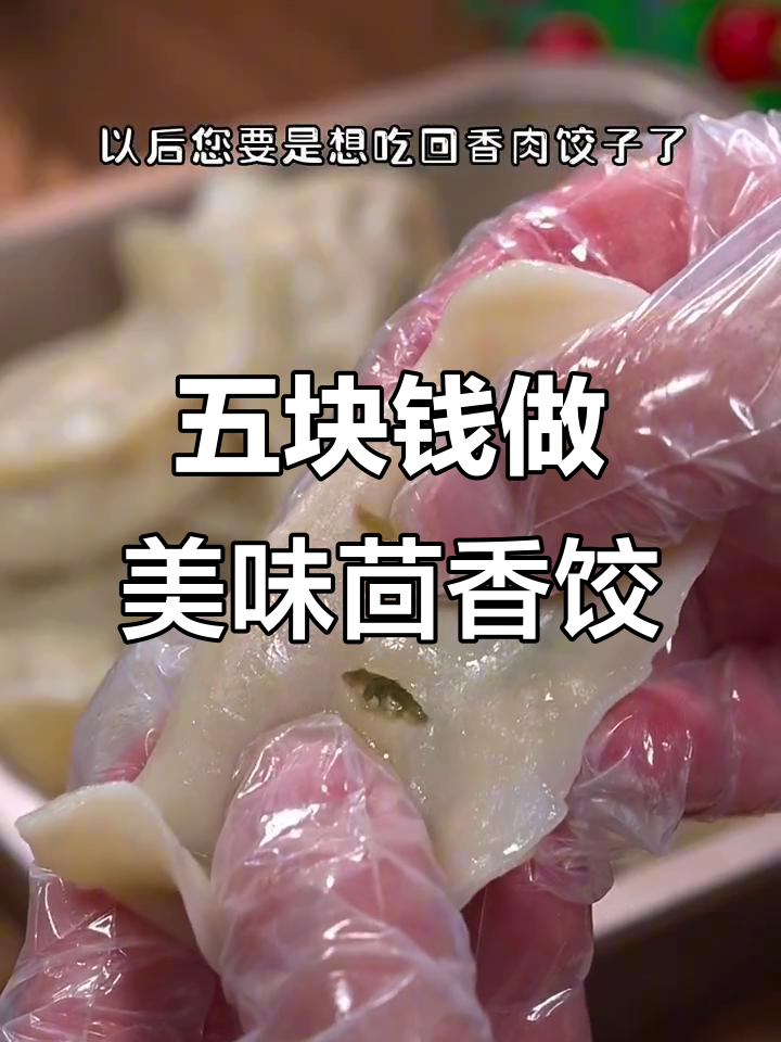 茴香肉饺子这样做,鲜嫩多汁又简单