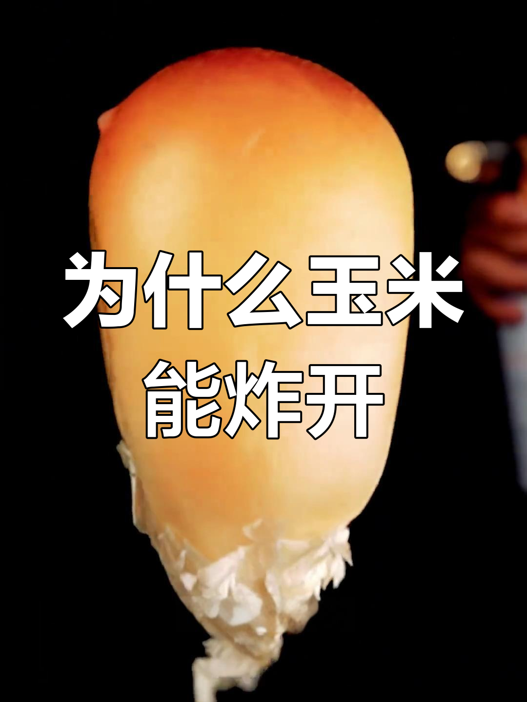 玉米为什么会爆炸成爆米花?揭秘背后的原理