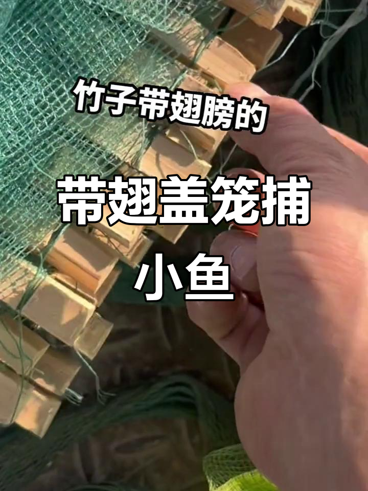 竹子带刺网笼,捕鱼虾必备工具