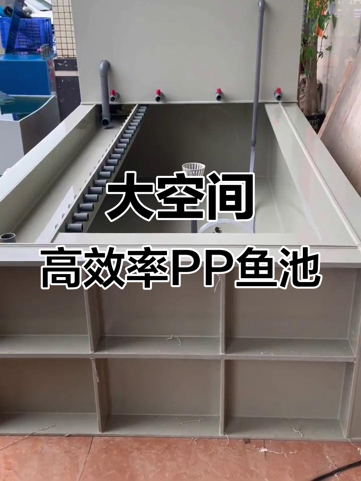 室外大鱼池设计,过滤系统升级,效果惊人