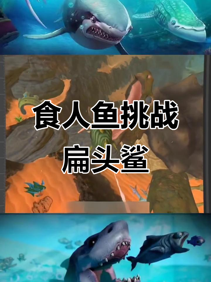 巨型鳄龟挑战扁头鲨,食人鱼进化成黄金攻击力