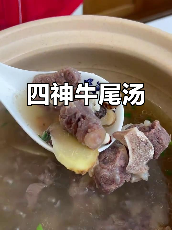 牛尾汤调理肠胃,祛湿助眠,补气血效果超赞