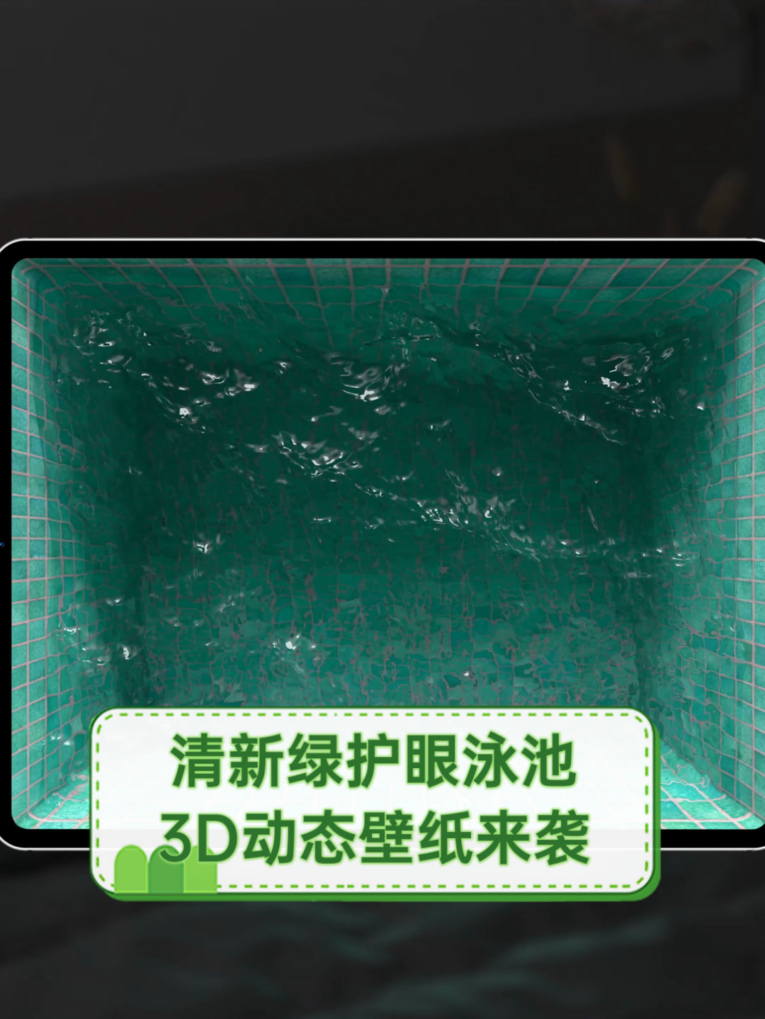 清新绿护眼泳池,3D动态壁纸来袭