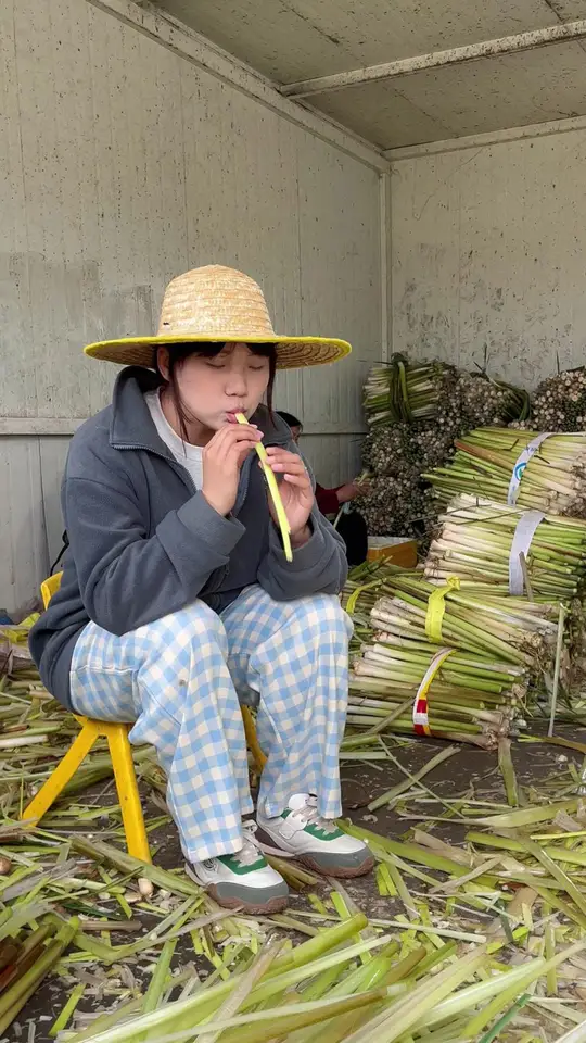 鲜脆嫩滑!淮安蒲菜美味来袭!