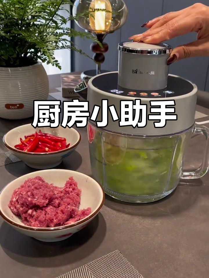 小熊绞肉机,厨房必备神器,轻松应对各种食材处理
