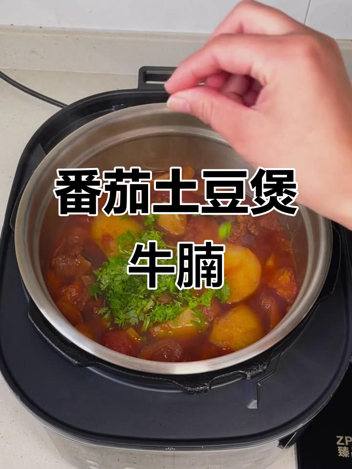 电饭锅炖牛腩,番茄土豆一锅搞定