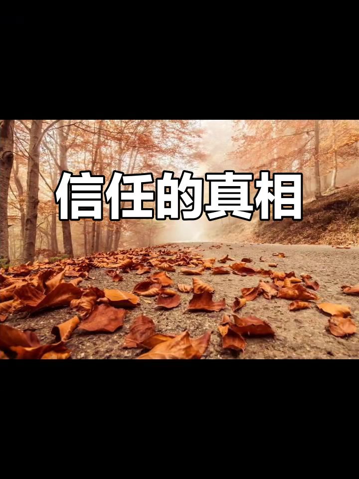 信任如水,却煮了鱼;风能吹落叶,但秋才是真因