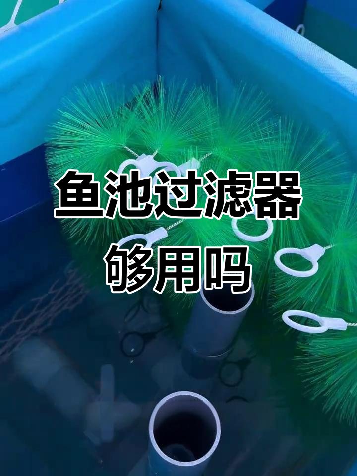 鱼池过滤系统全面解析，效果如何？