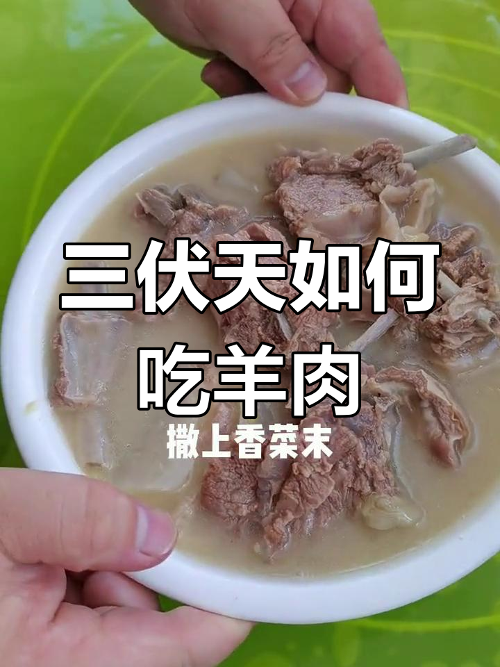夏季羊肉的吃法指南