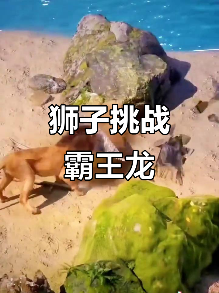 狮群勇斗霸王龙,森林恶霸被赶走