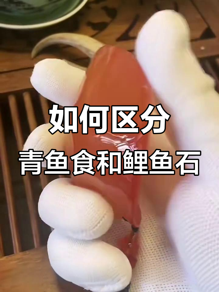青鱼石与鲤鱼石的差异,一眼识破