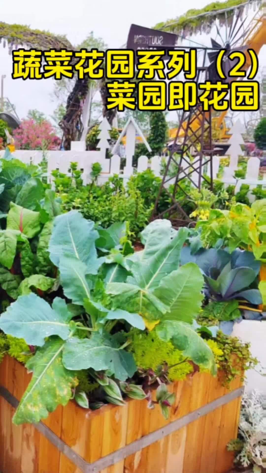 蔬菜花园系列(2)——菜园即花园 蔬菜花园不仅仅是种植蔬菜的地方,更是一座标准的农耕式花园