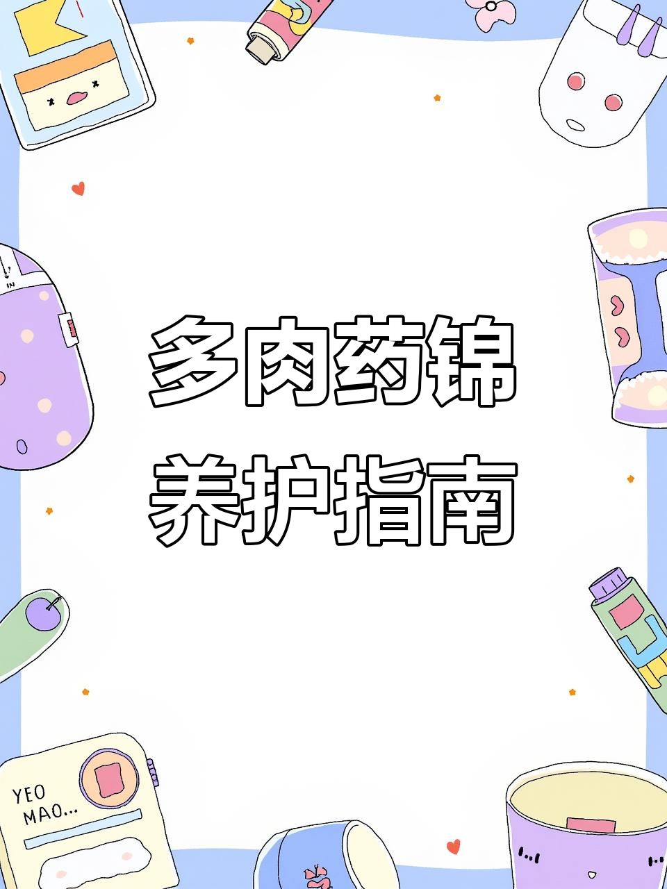 药锦多肉植物盘点:这些品种养不活,别碰!