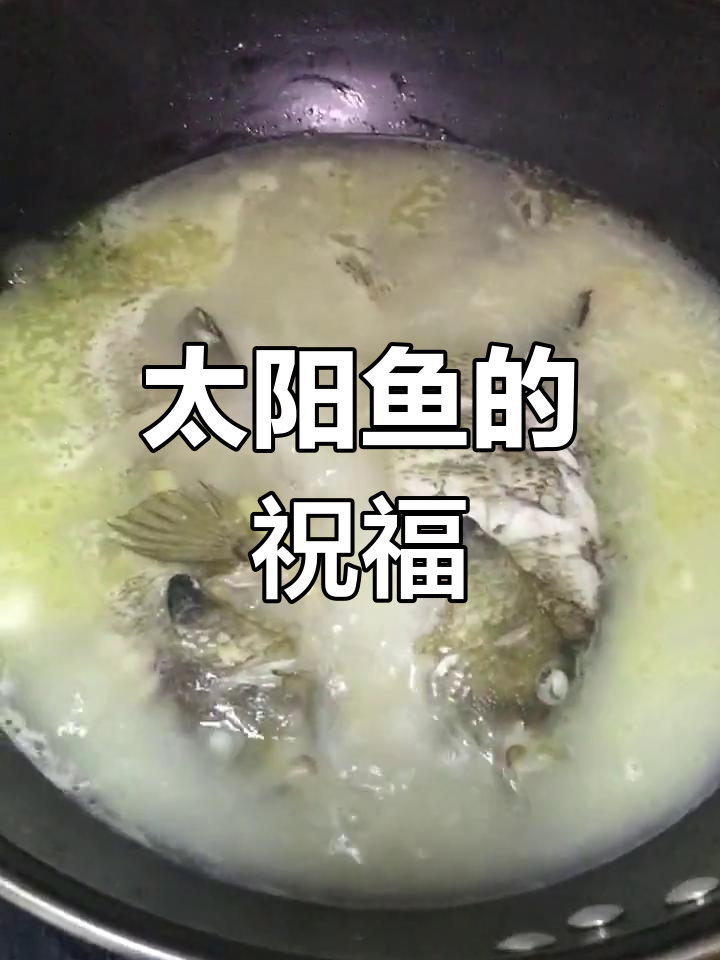 野生太阳鱼,滋补效果显著,愿女儿早日康复!