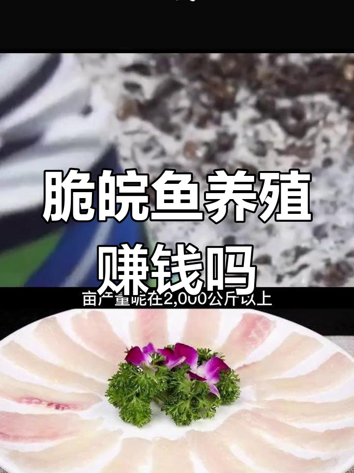 脆皖鱼养殖利润揭秘,成本与收益分析
