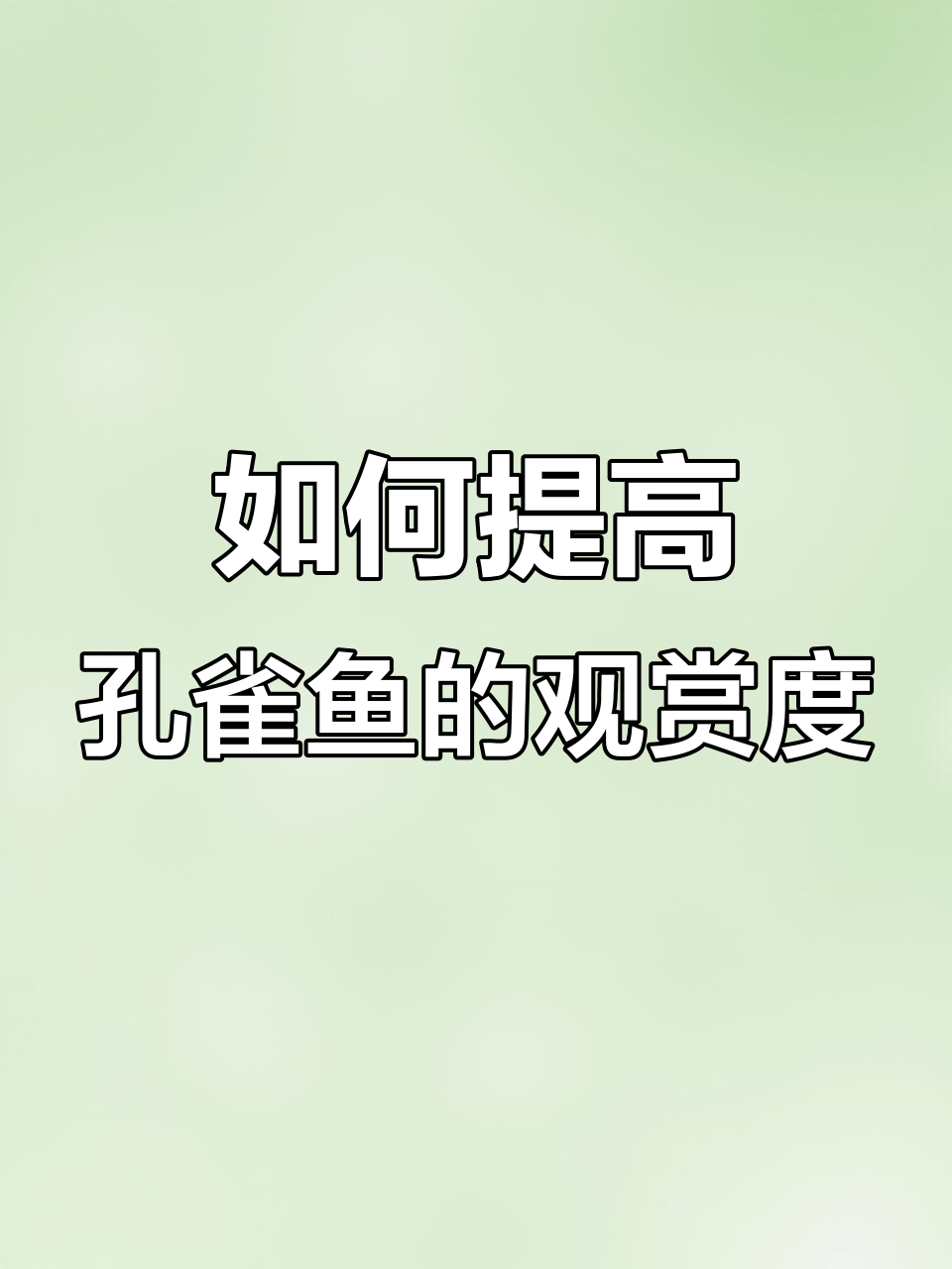 孔雀鱼混养搭配指南，提升观赏价值