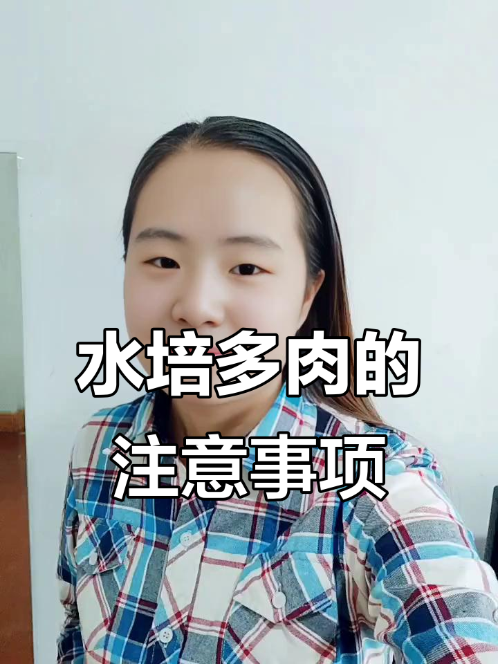 多肉水培技巧大揭秘,如何选择适合的容器和植物