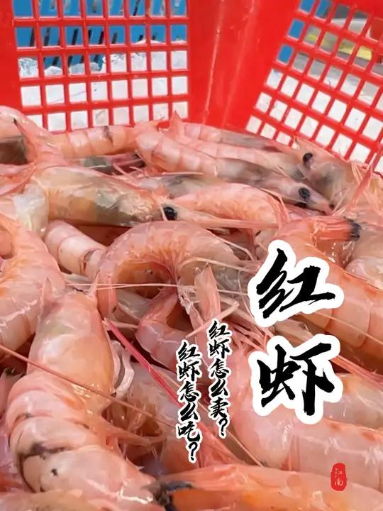 同学们,这个虾你们那儿叫什么名字?你们都是怎么吃的呢?菜市场阿姨教你做菜 内容启发搜索 省