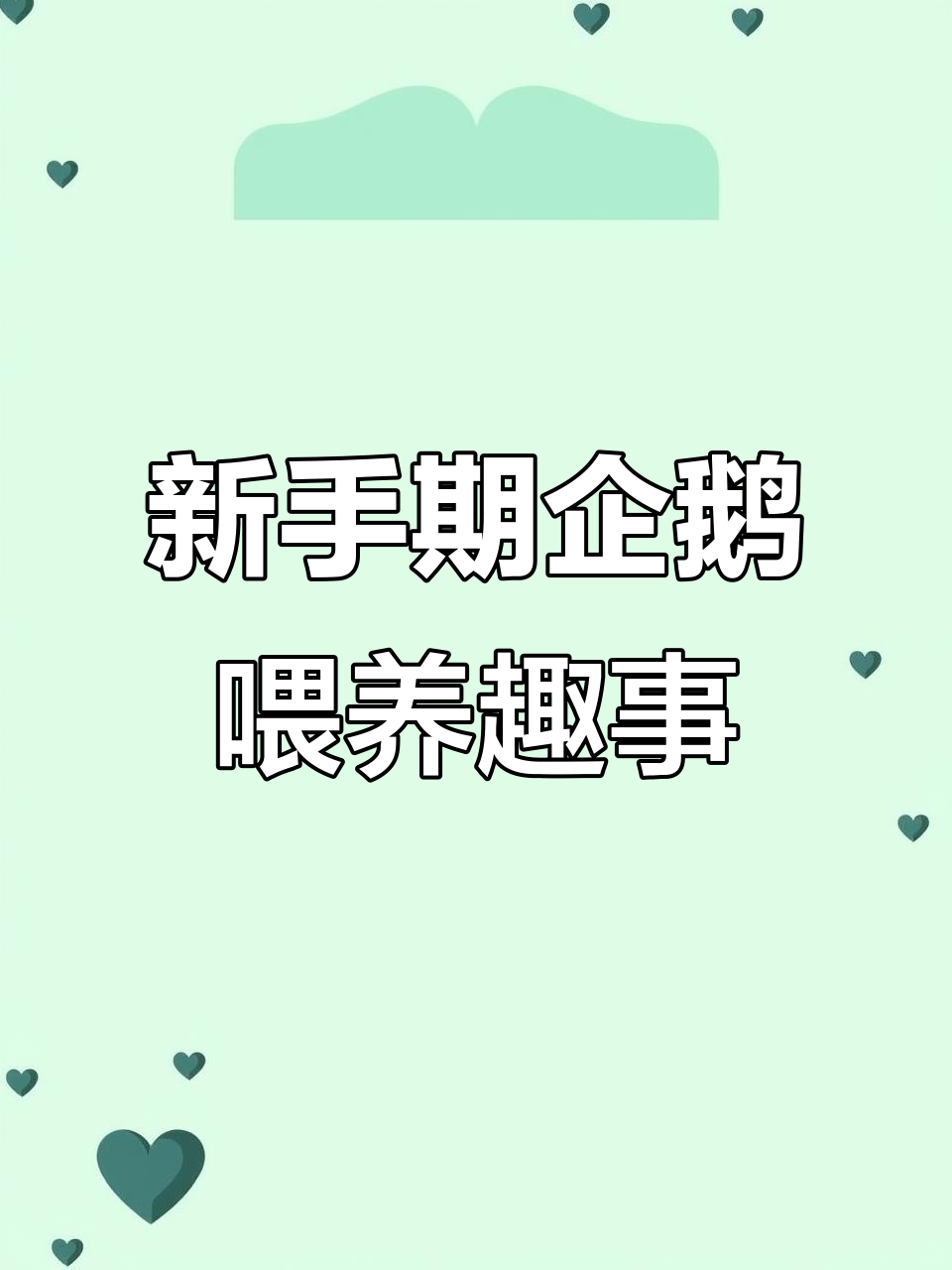 企鹅爸妈喂宝宝,嘴对嘴超萌瞬间