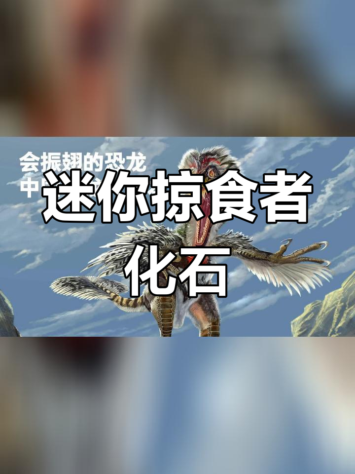 小型肉食恐龙的发现与发掘