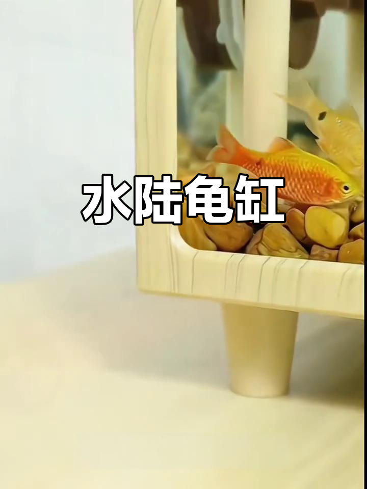 大号水陆缸,乌龟乐园与观赏一体,创意造景尽显精致