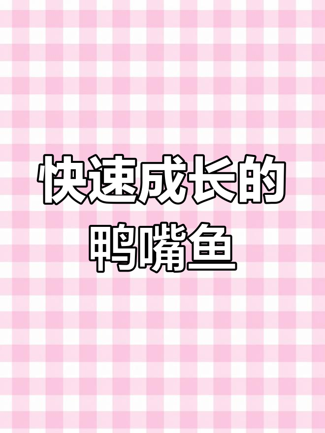 鸭嘴鱼:淡水生长最快的奇特鱼类,养殖技巧全揭秘