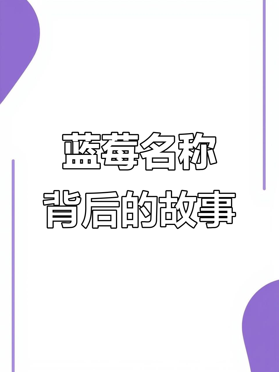 蓝莓名字的由来，竟是吉林农业大学教授翻译而来