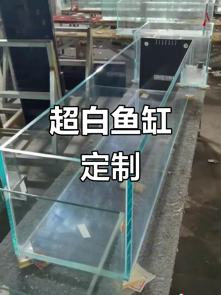 定制超白鱼缸，支持多种溢流设计，满足不同需求