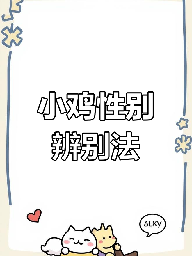 刚出壳小鸡公母鉴别技巧