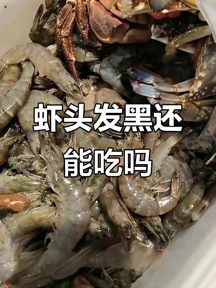虾头变黑不一定是变质,如何判断新鲜度?