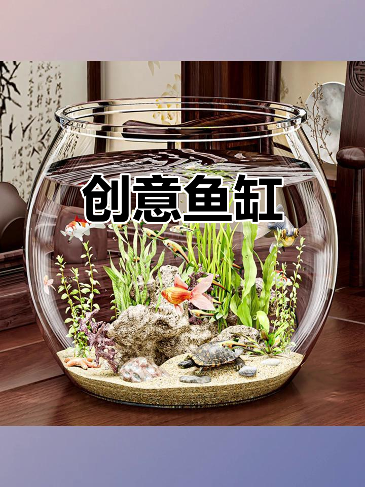 圆形透明鱼缸，结实耐用，桌面生态装饰