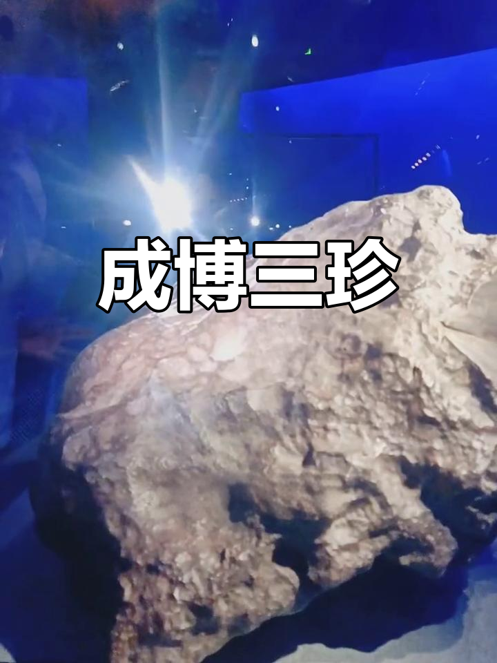 成都自然博物馆三大镇馆之宝揭秘:天外来客、亚洲最大恐龙与远古鱼类化石