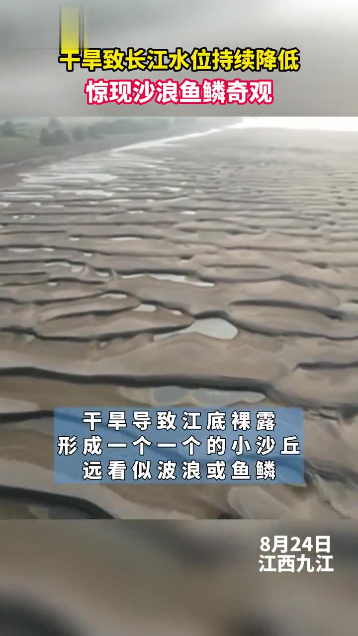 干旱致长江水位持续降低,惊现沙浪鱼鳞奇观