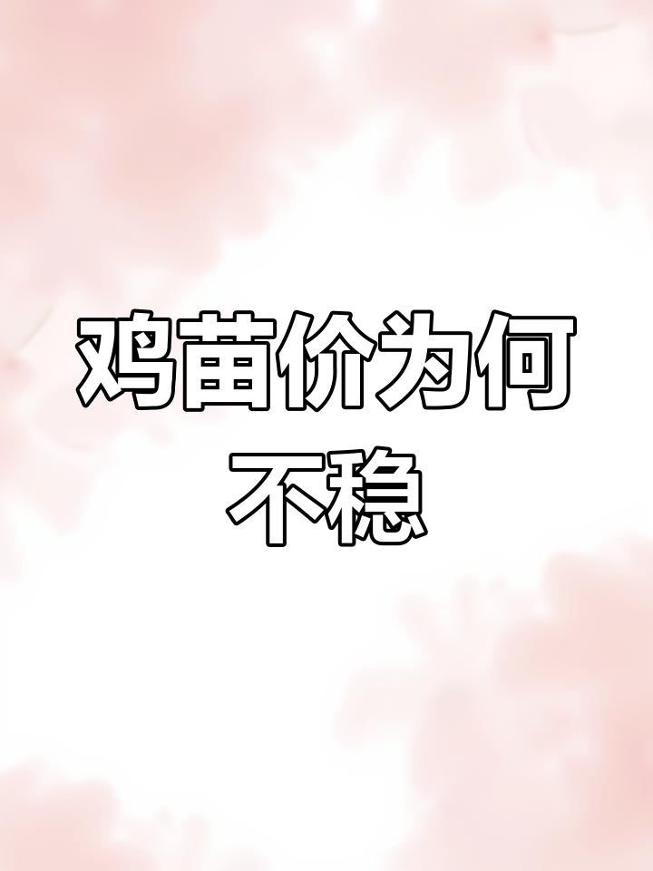 鸡苗价格波动背后的真相,清明假期影响几何?