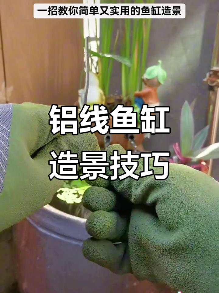 一根铝线打造鱼缸水培植物,轻松造景教程