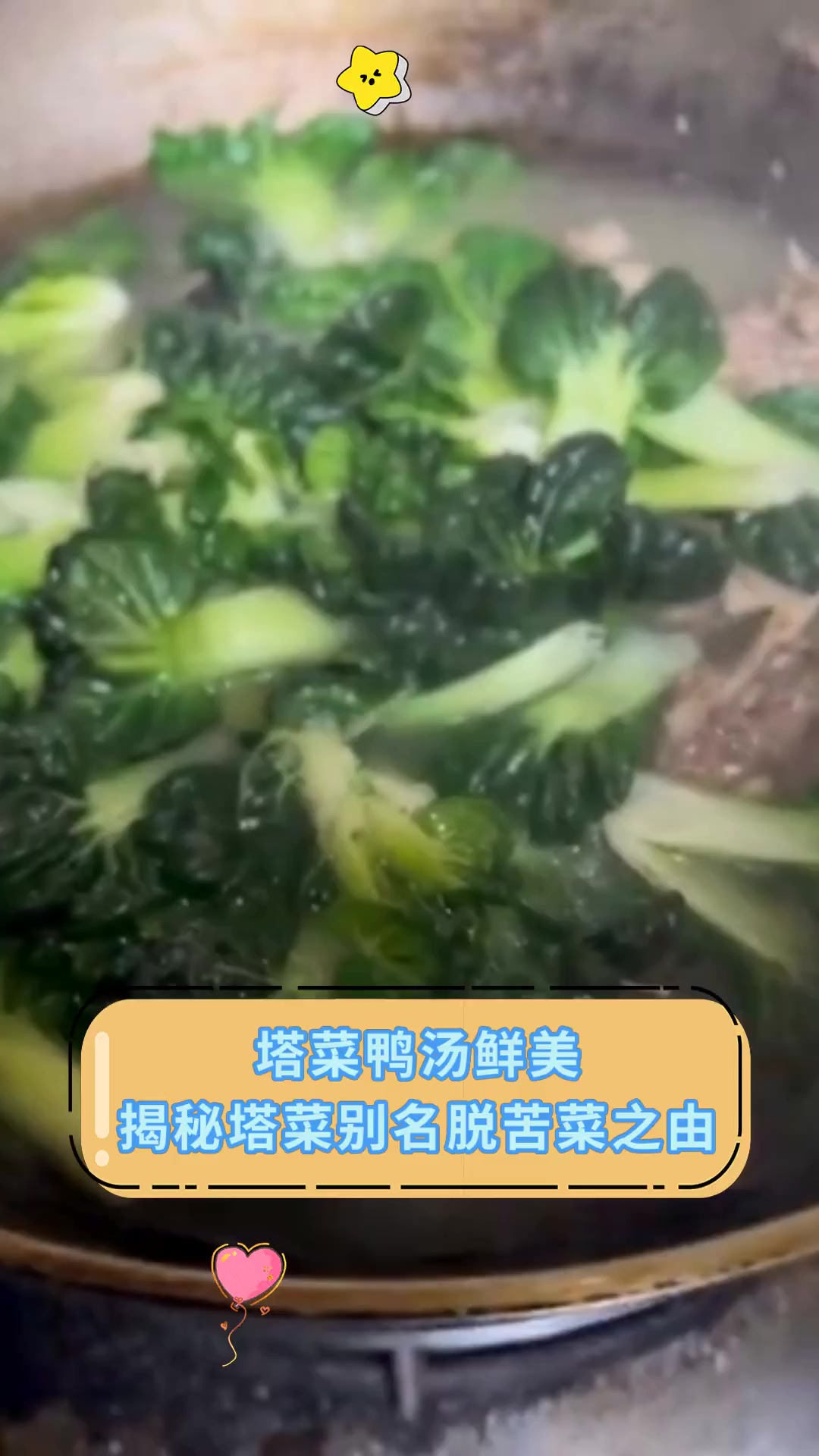 塔菜鸭汤鲜美,揭秘塔菜别名脱苦菜之由