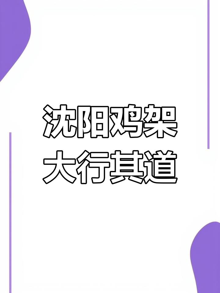 沈阳鸡架小吃车遍布小区,铁板机架让人停不下来