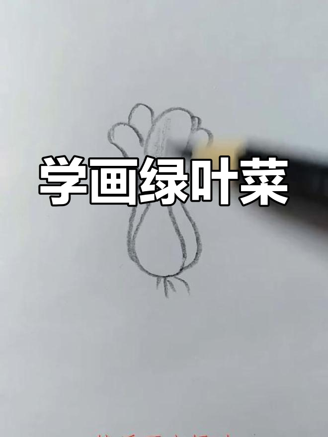 简单几步画出油菜