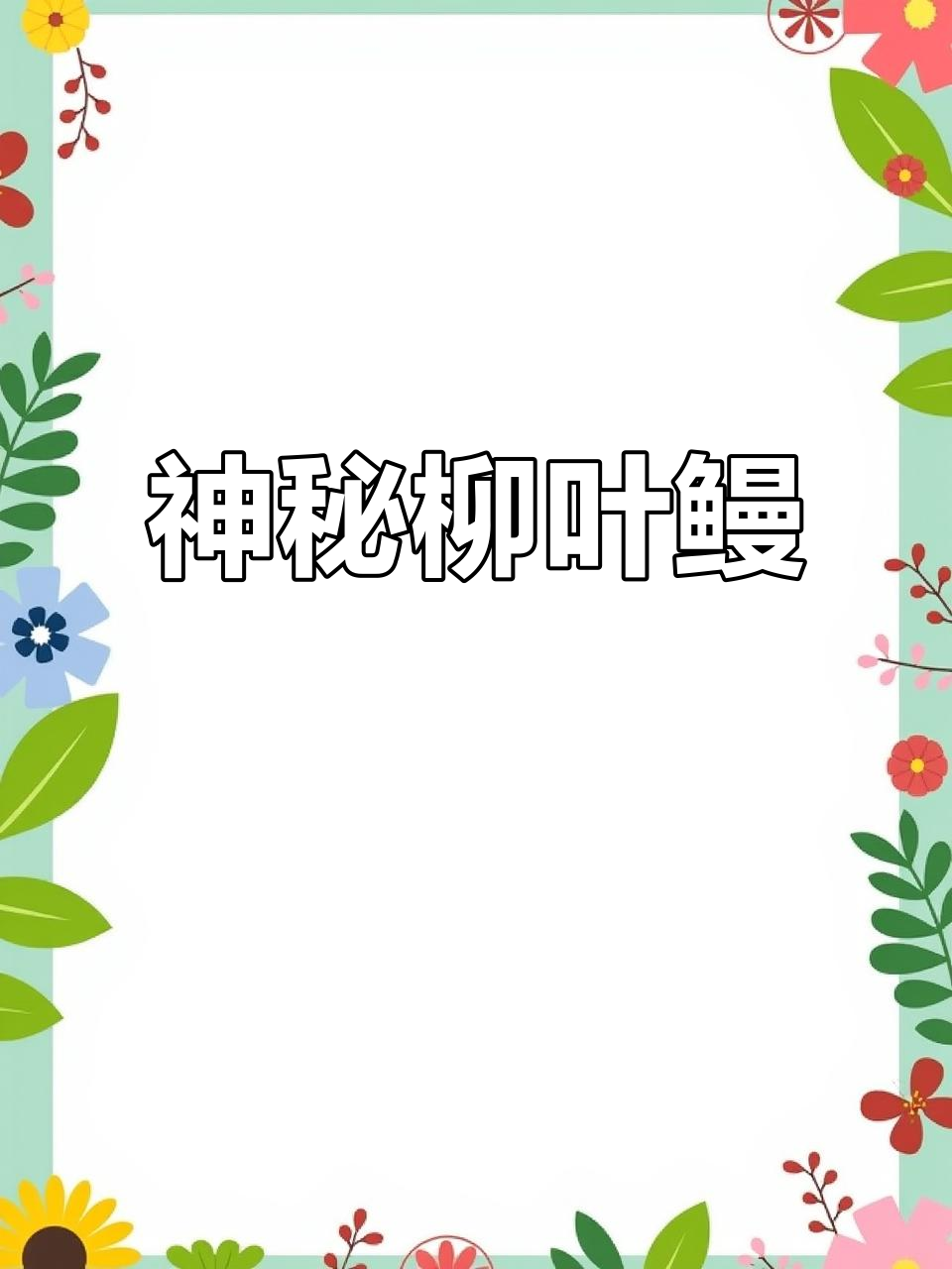 海洋探险队发现奇特生物,竟是罕见的柳叶鳗!