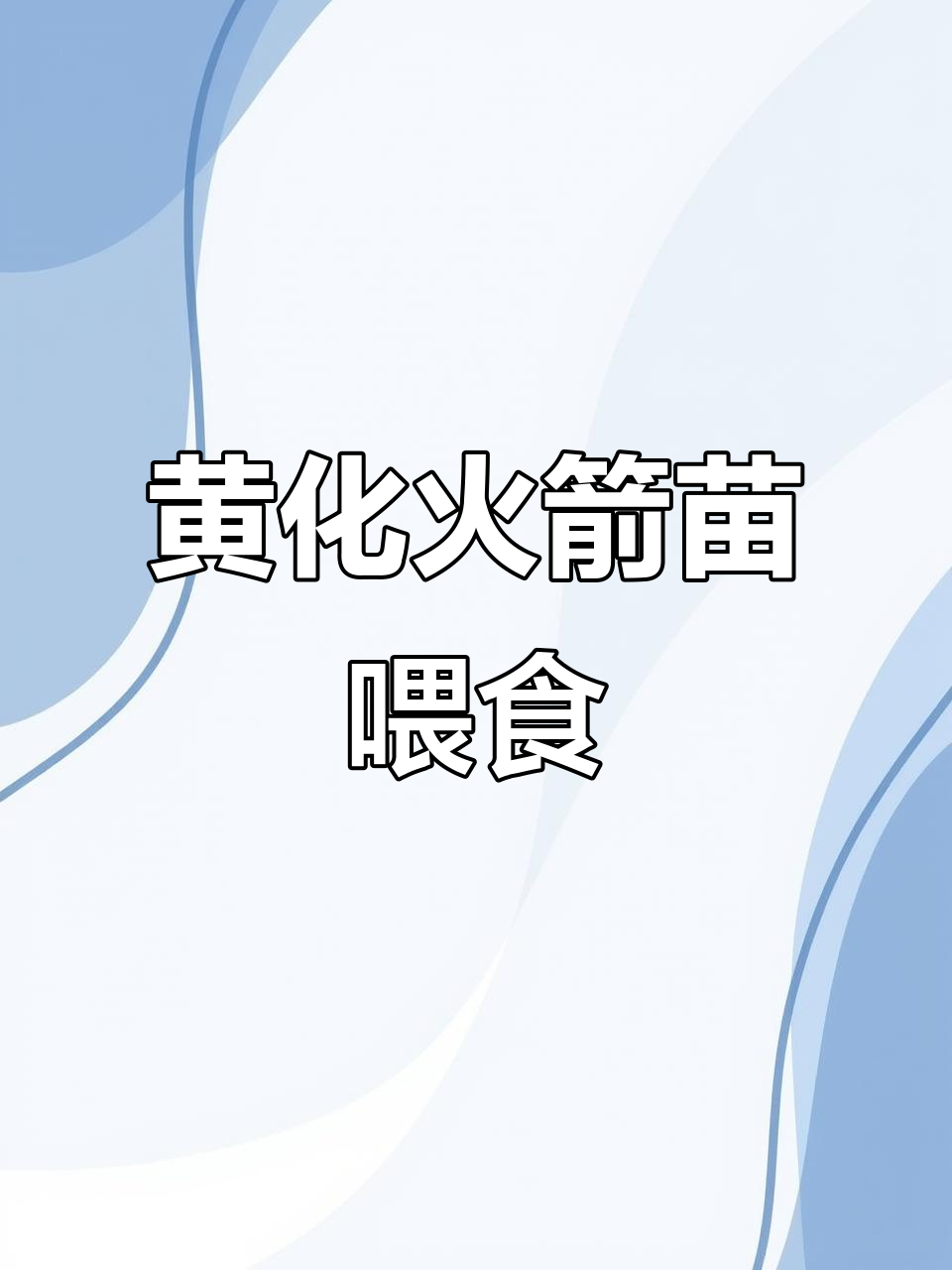 黄化火箭苗喂食日常,红眼幽灵观赏鱼互动时刻