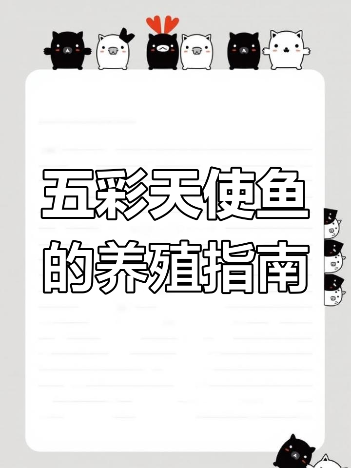 天使鱼:五彩缤纷的观赏佳选,了解养护技巧