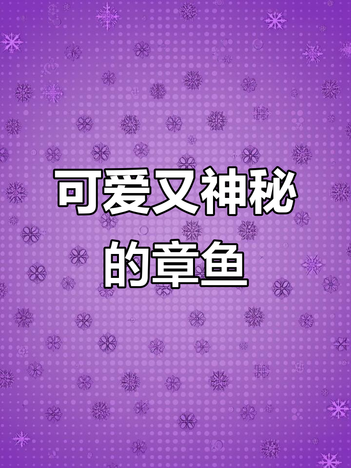 章鱼家族中的“萌鬼”,黑暗中像幽灵,触角一包吓一跳