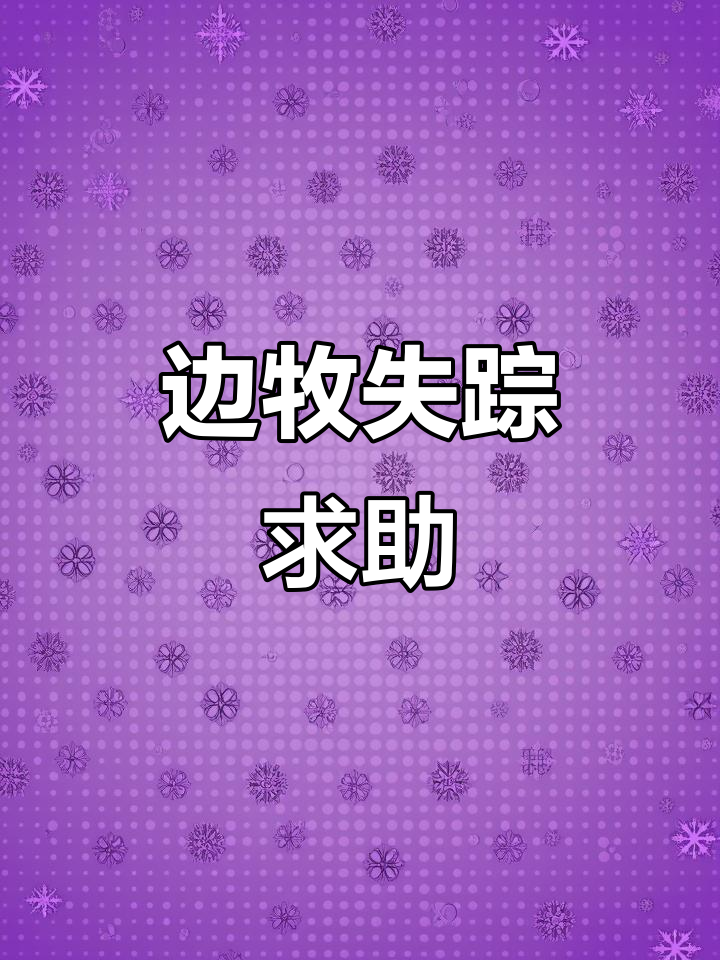 边牧失踪,恩施松树坪急寻主人!