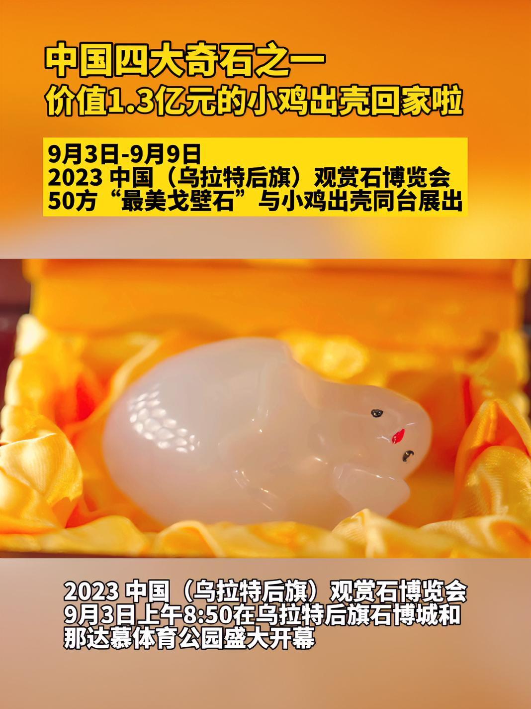 中国四大奇石之一,价值1.3亿元的“小鸡出壳”回家了!9月3日-9月9日,2023 中国(