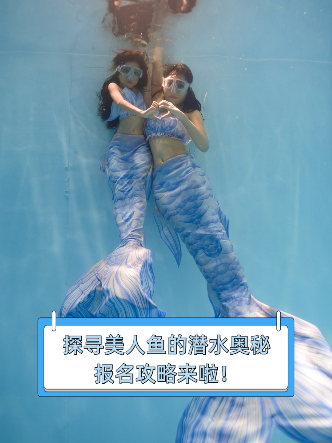 探寻美人鱼的潜水奥秘,报名攻略来啦!