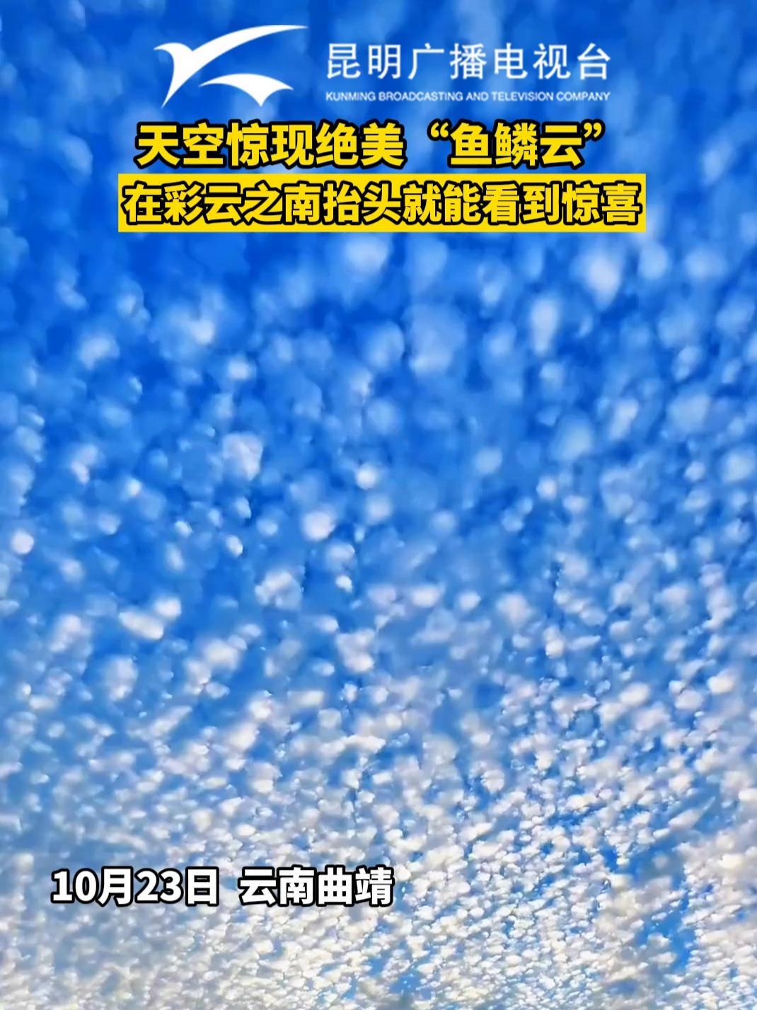 天空惊现绝美“鱼鳞云”,在彩云之南抬头就能看到惊喜 七彩云南 鱼鳞云 云南