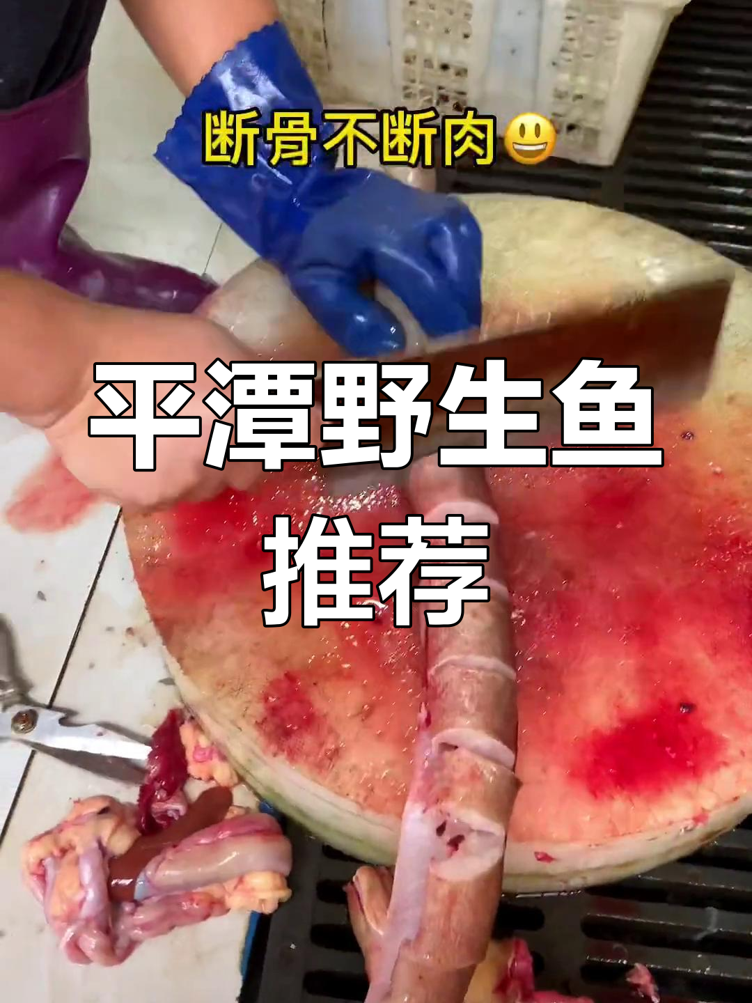冬季海鲜推荐:平潭特色鱼类