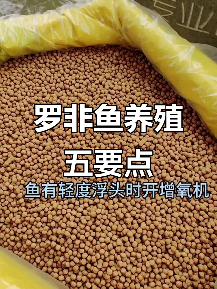 罗非鱼养殖技巧:水质调节与日常管理全攻略