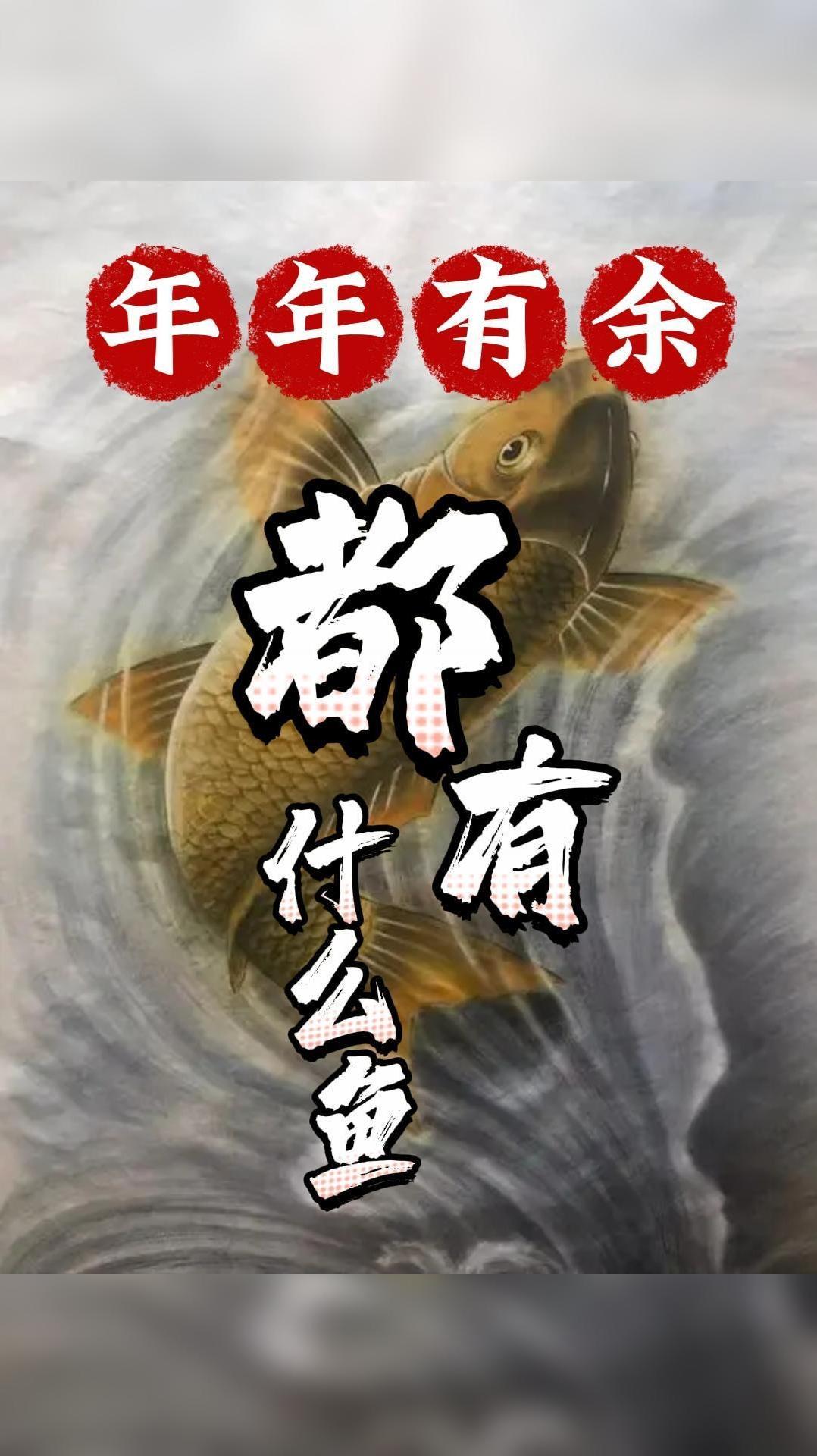 你知道,我们中国人常说的“年年有余”,都有什么鱼吗?快来一起涨知识啦~ 年年dou好运 鲤