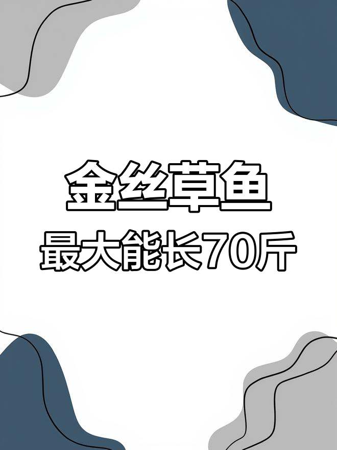 俄罗斯金丝草鱼:最大个体可长70斤,背部金色活泼健壮